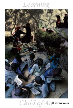 Nature Tarot by Jan Strube